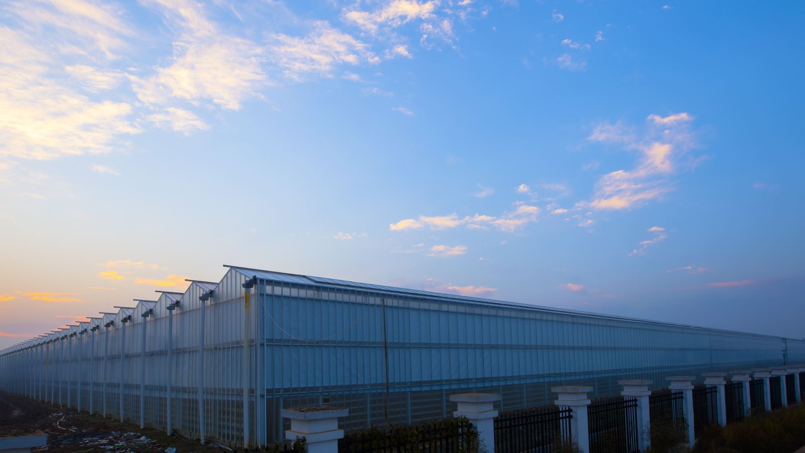 壹定发·(EDF)最新官方网站